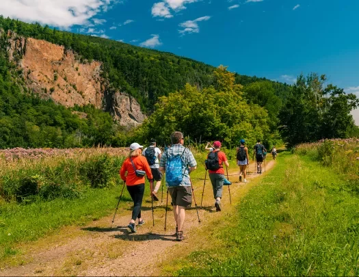 Group of people with walking poles on a gravel trail, surrounded by green trees