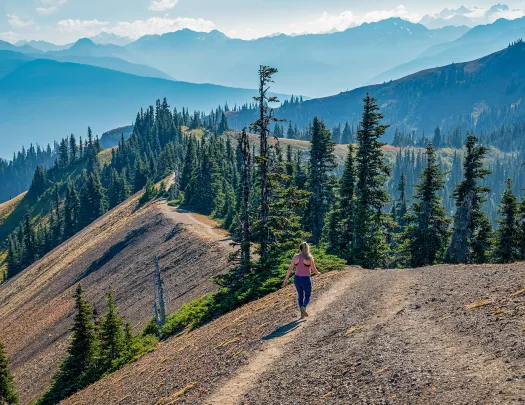 Woman walking on a dirt path on top of a hill, walking towards pine trees