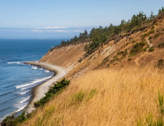 Hill next to a small coast by the ocean, covered in dried weeds