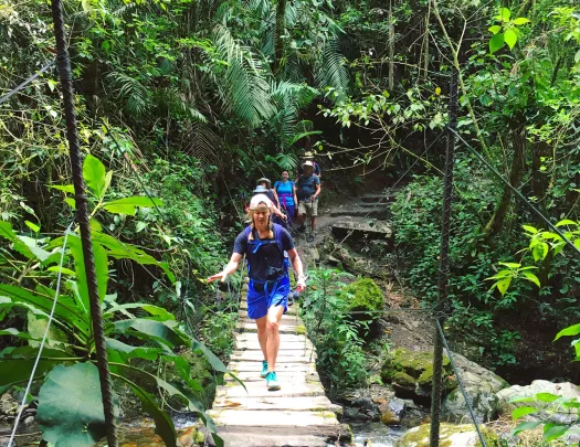 A hiker crosses a hanging bridge above a forested area