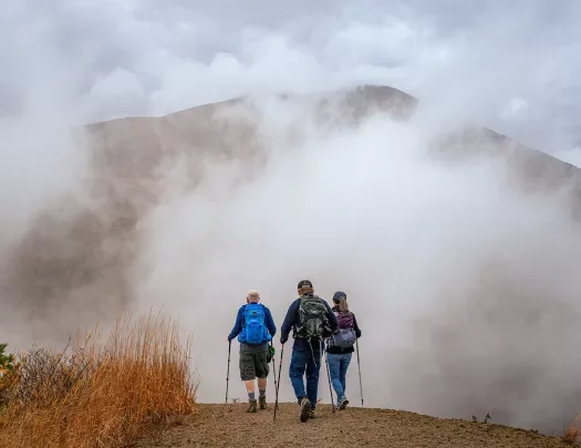 the back of three hikers approaching a foggy mountain