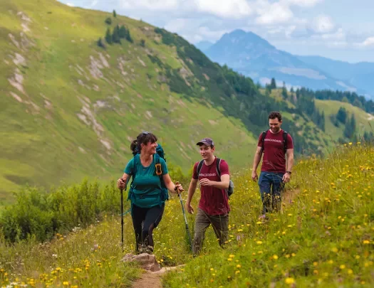 A woman and two men hiking in a field of flowers