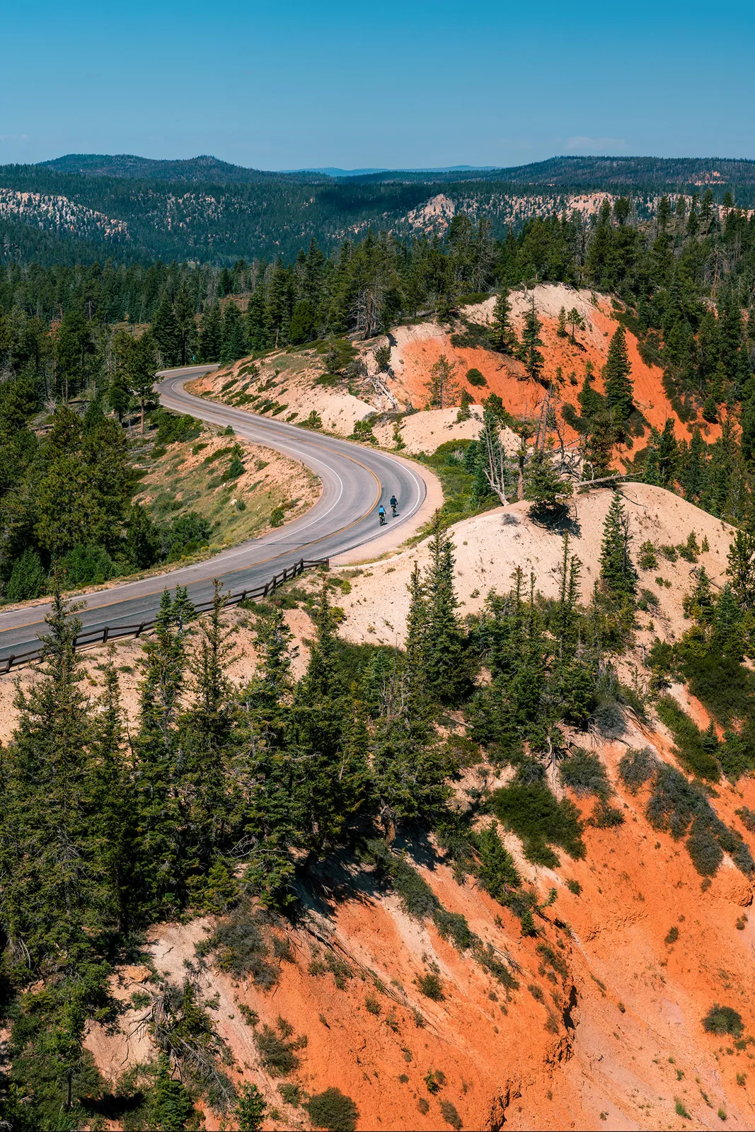 Guests cycling on road, trees, orange sand surrounding them.