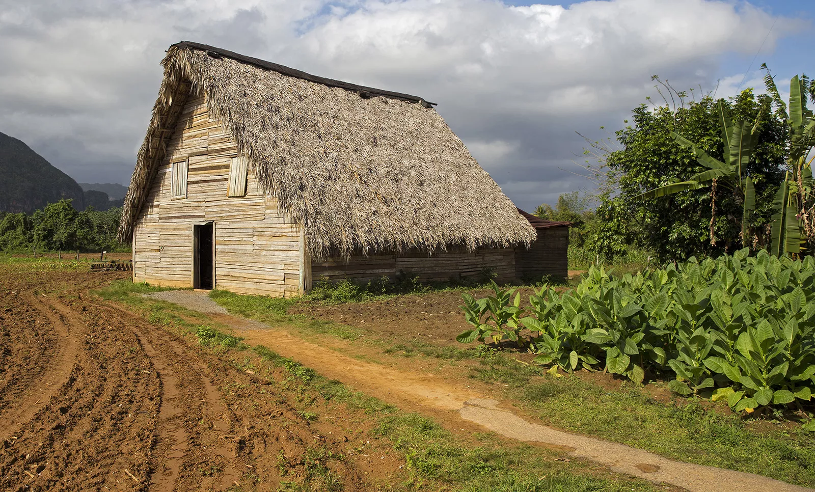 Farm House Cuba