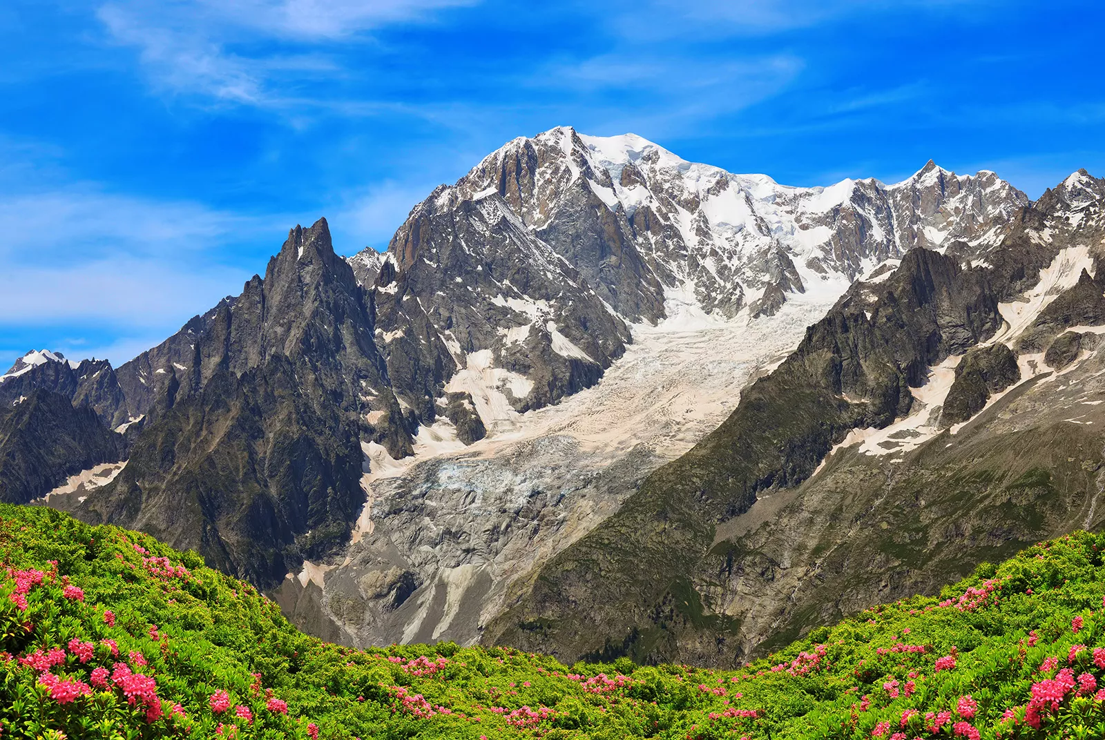 Wide shot of mountain range, greenery, small red flowers in foreground.