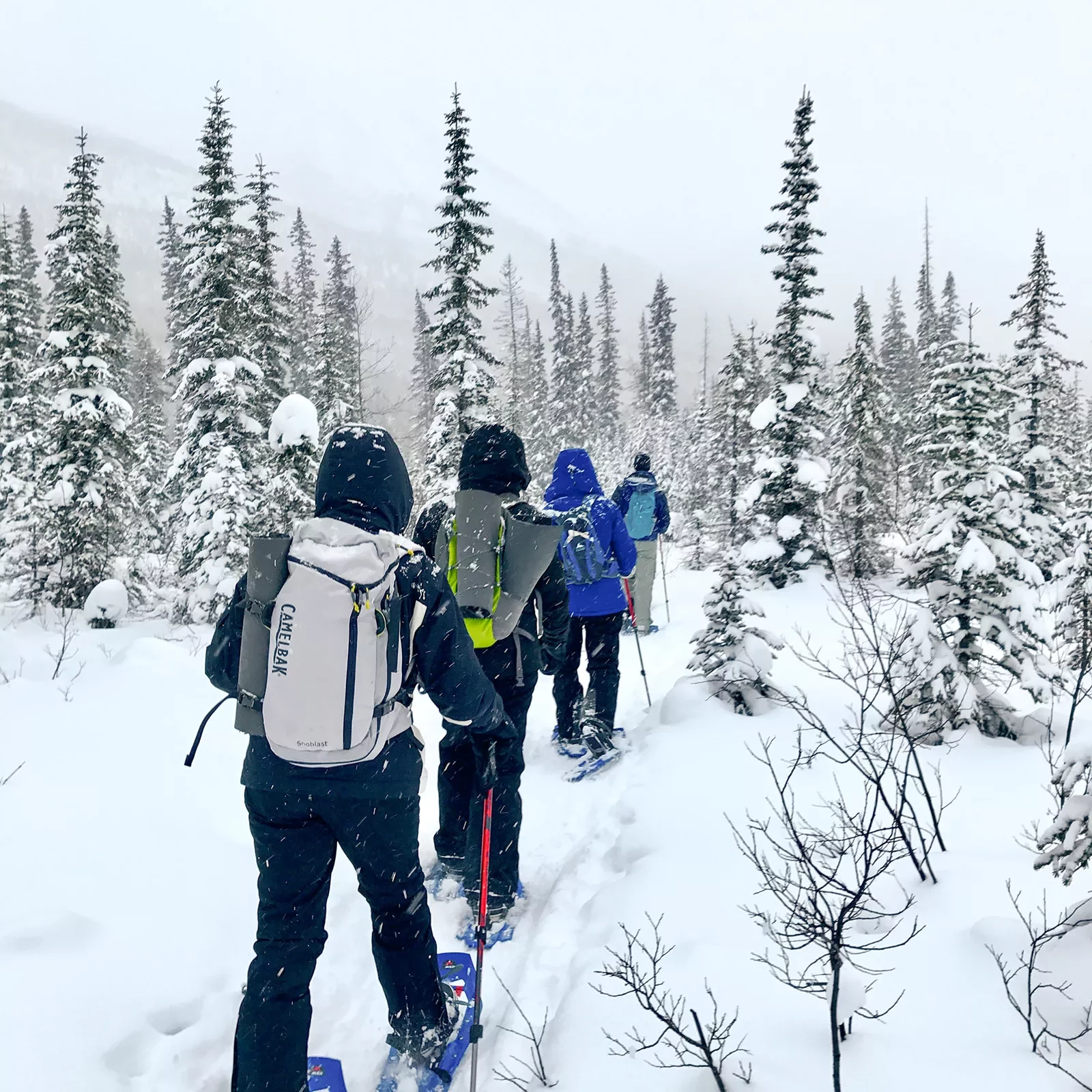 Canadian Rockies Family Snow Adventure Tour For Older Teens u0026 20s |  Backroads Active Travel