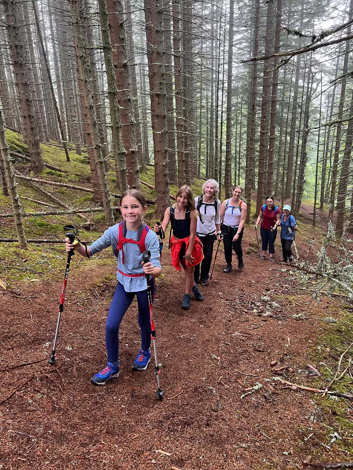 Group Hiking Forest Norway