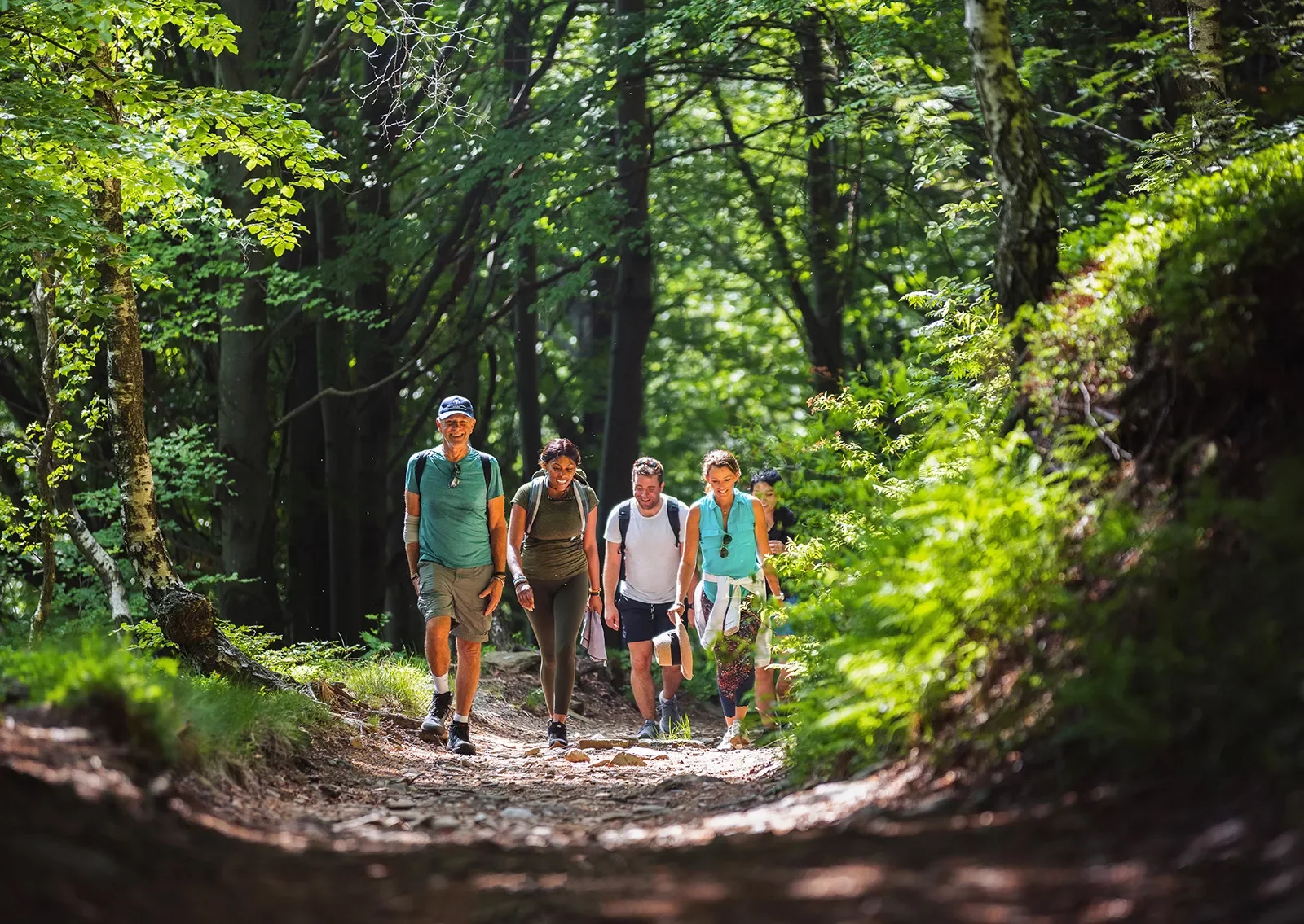 Five guests hiking through forest.