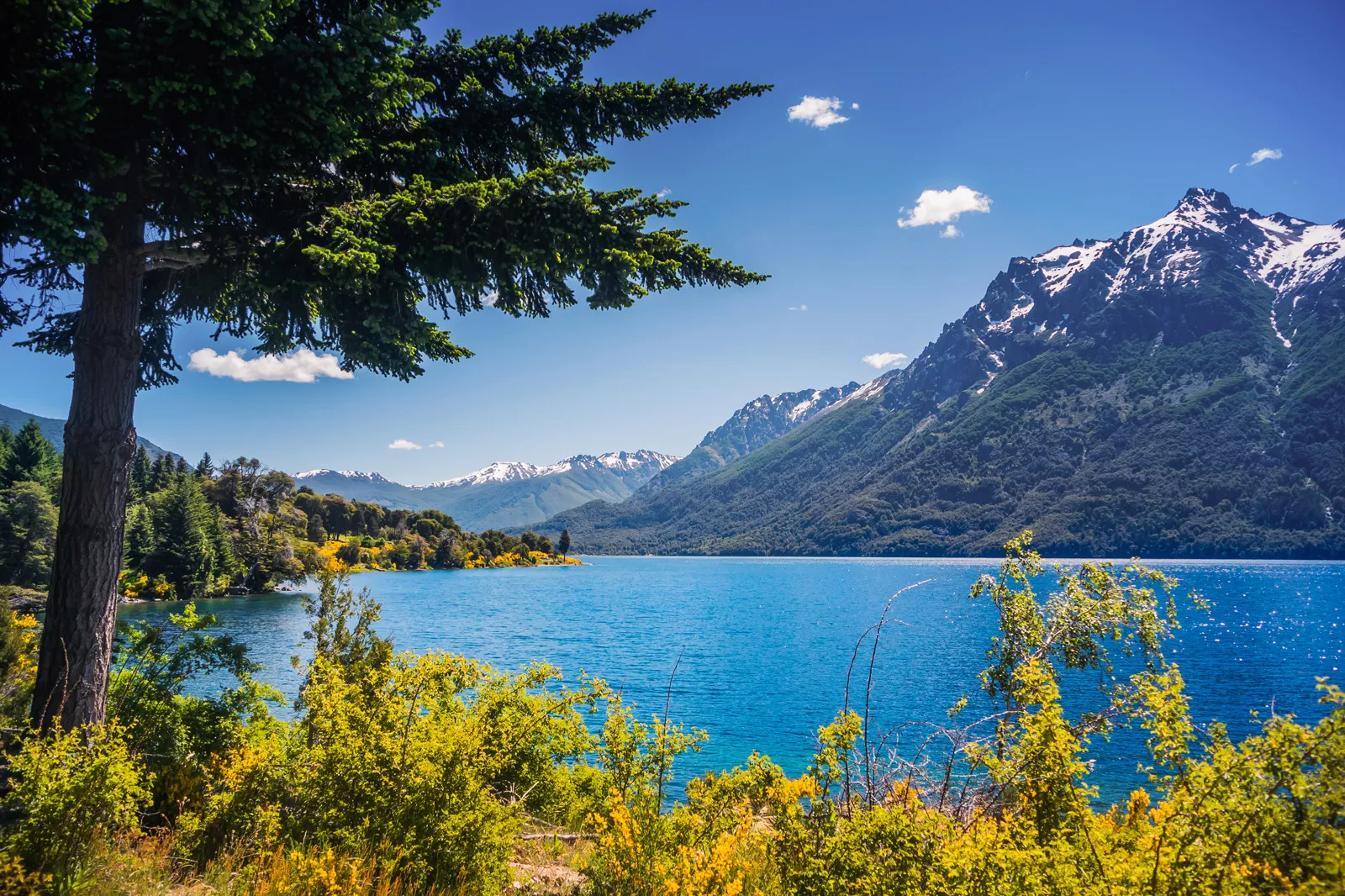 Large, blue lake surrounded by trees and a tall mountain