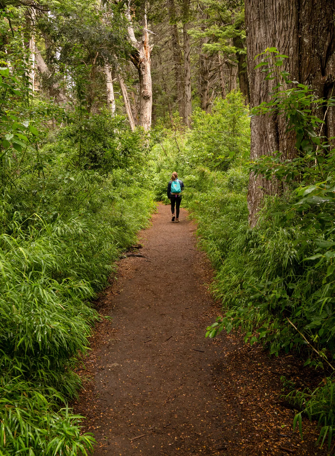 Woman walking on a dirt trail in a forest