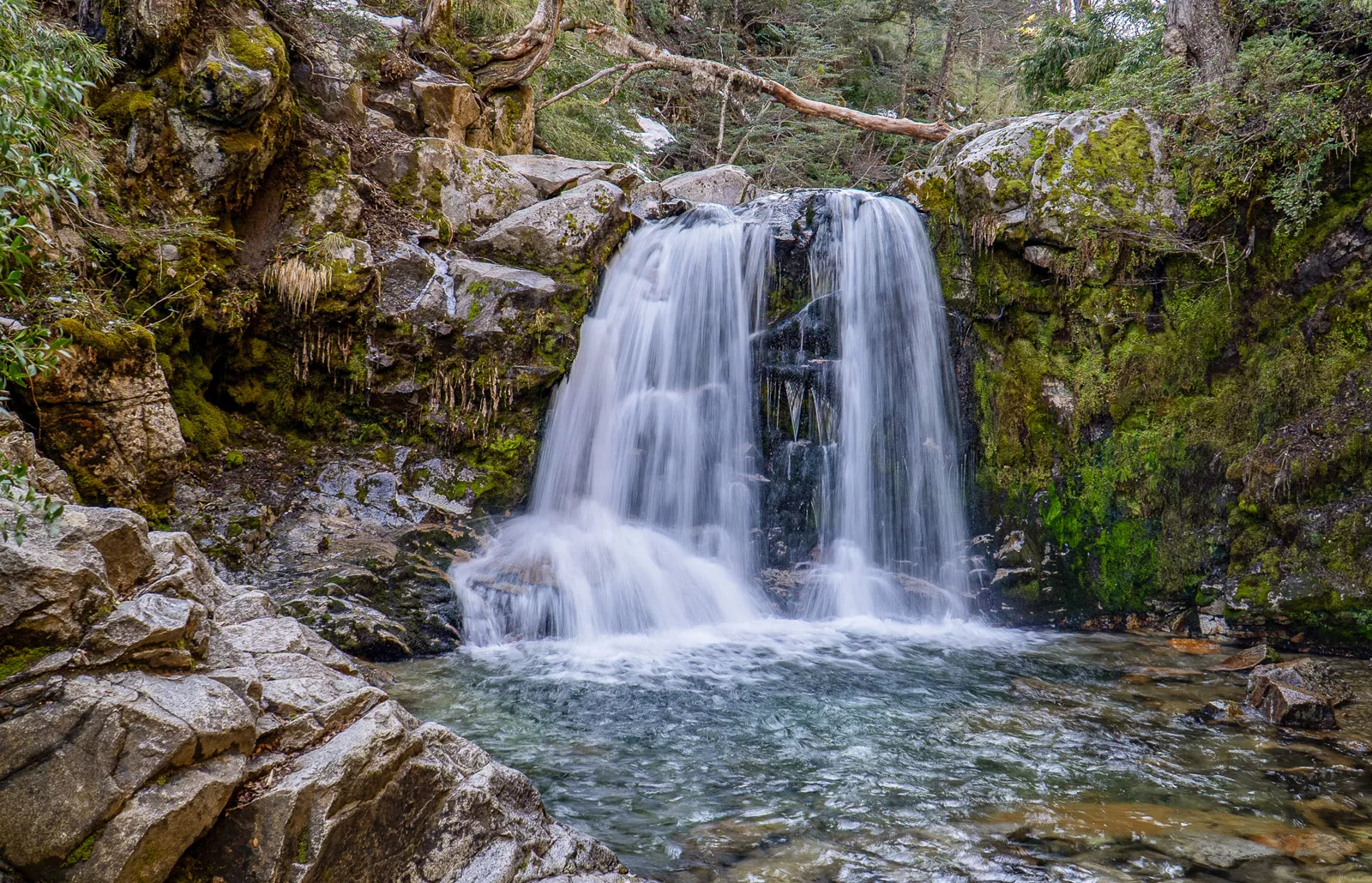 Active waterfall in the middle of a forest