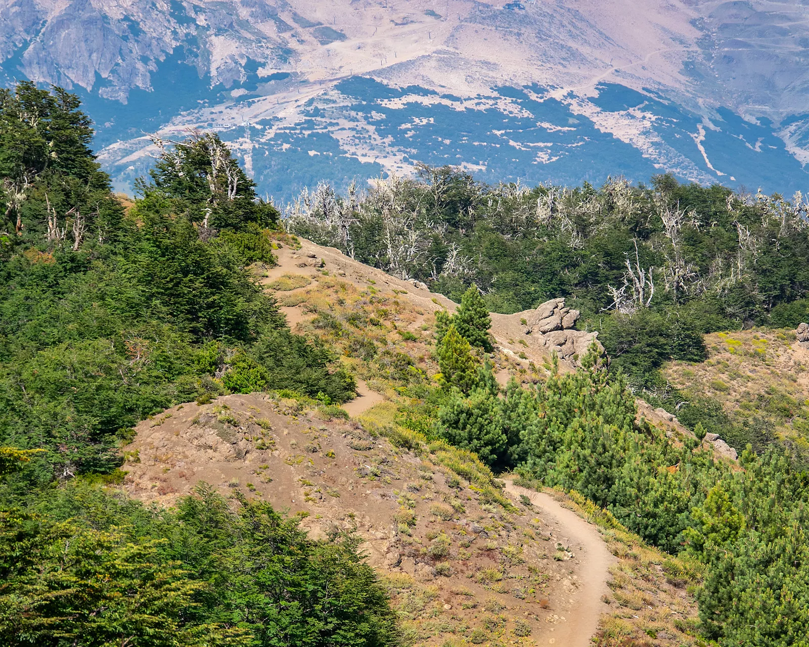 Large valley of dirt and trees on top of a hill