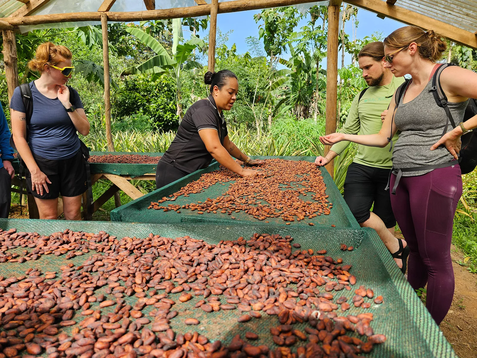 Group of people watching a woman lay out almonds for drying