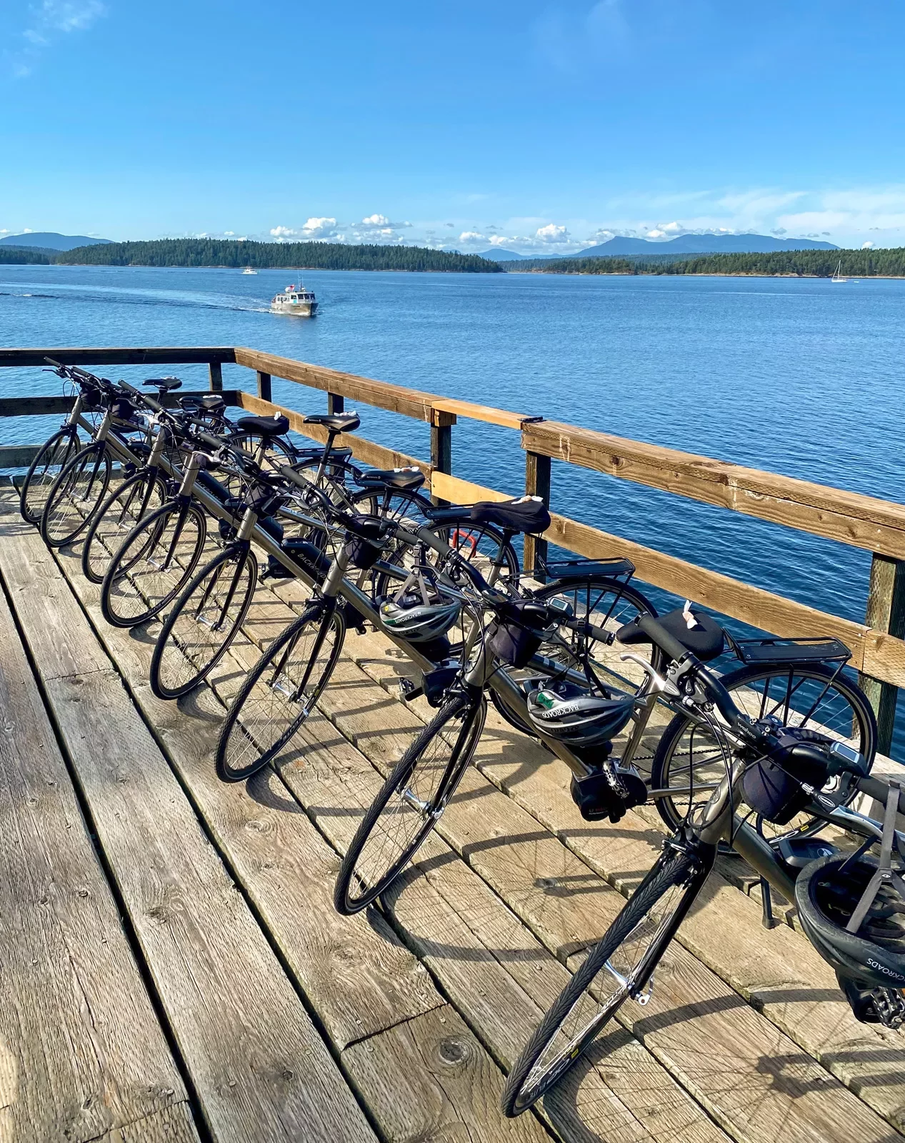 Bikes lined up on a wooden dock by the ocean
