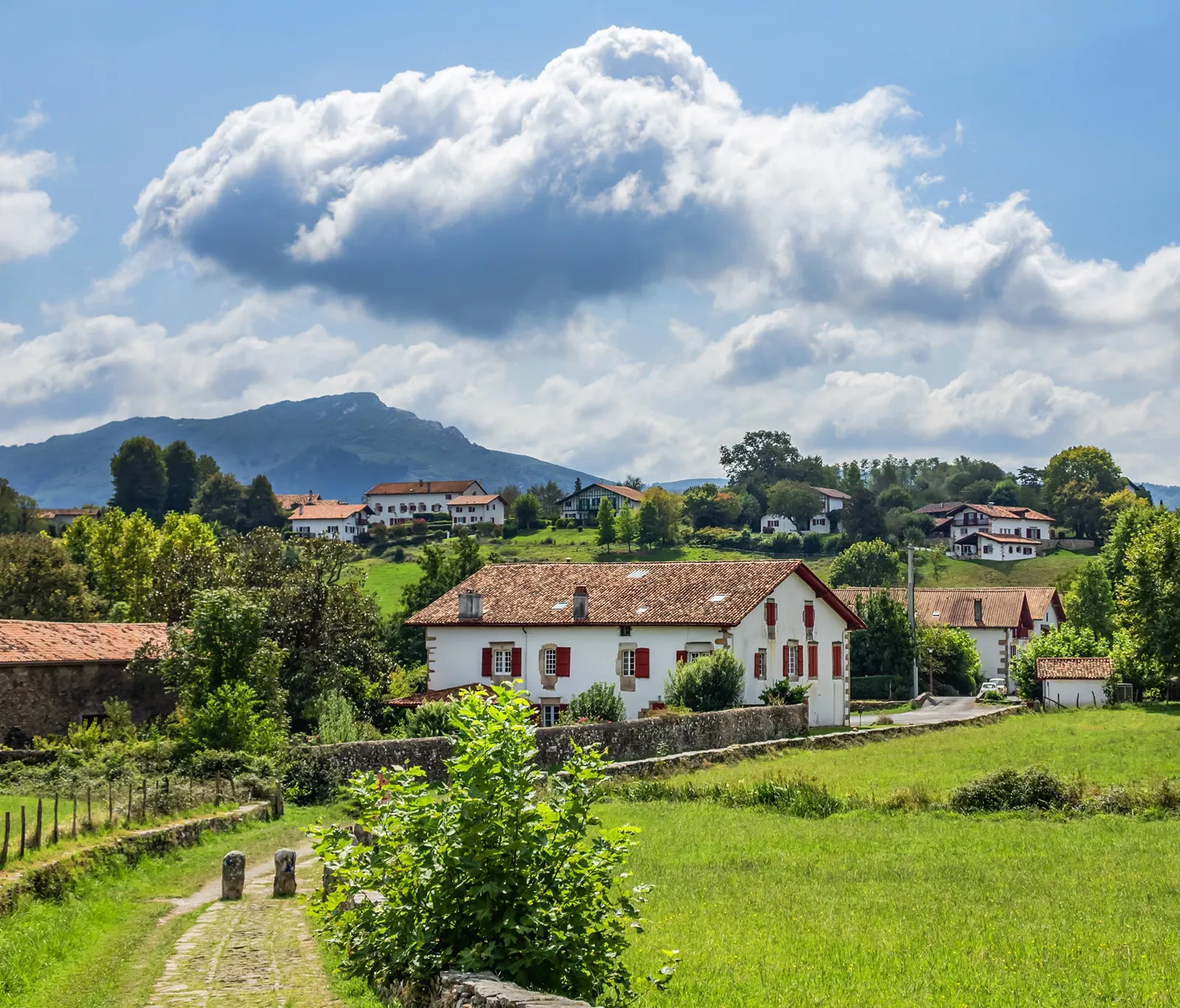 Small town in a rustic town, surrounded by trees and grass