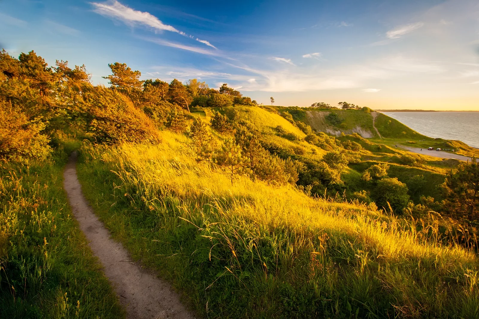 Hiking trail through tall, grassy hills and trees