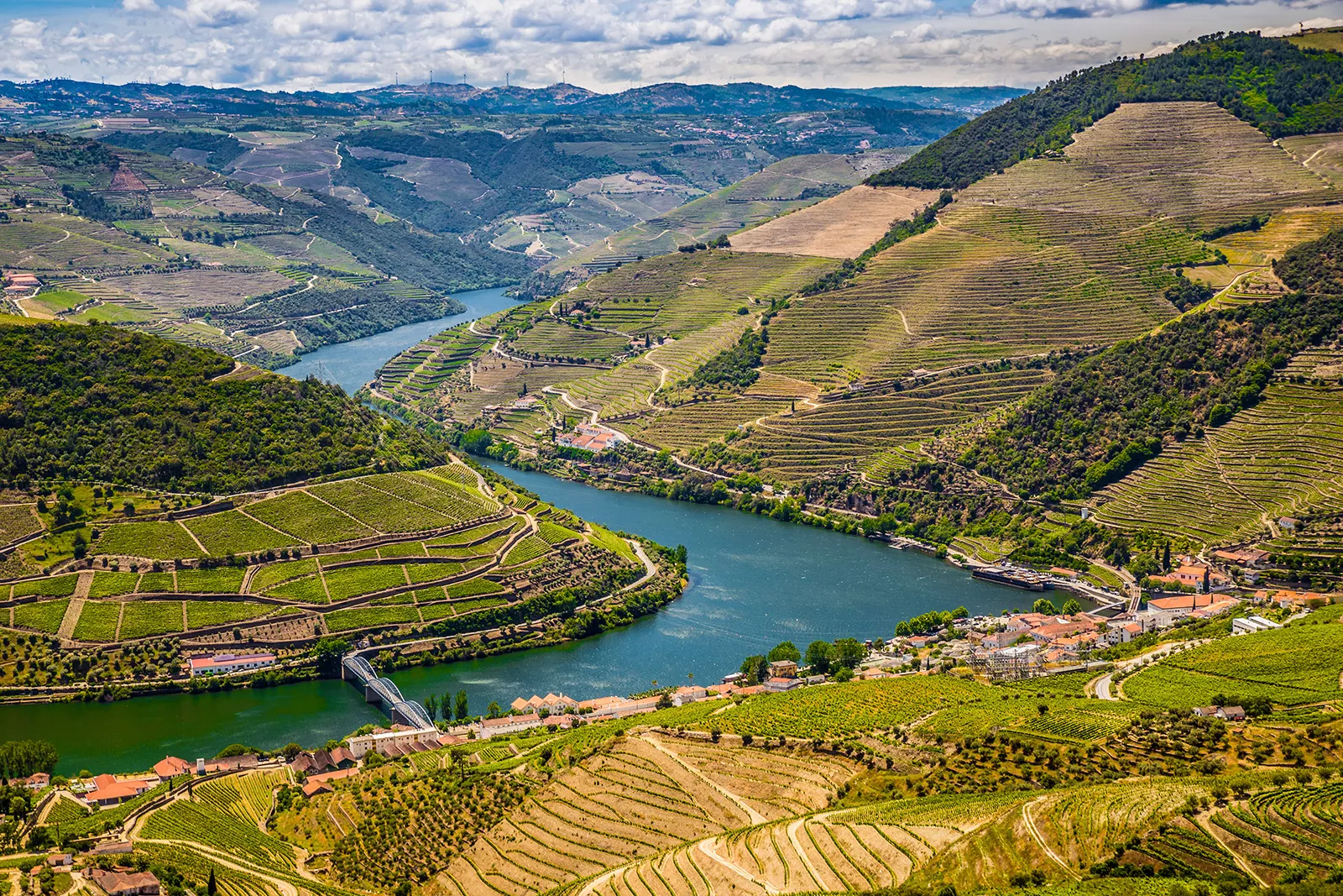 Top view of grassy fields with a river through the area