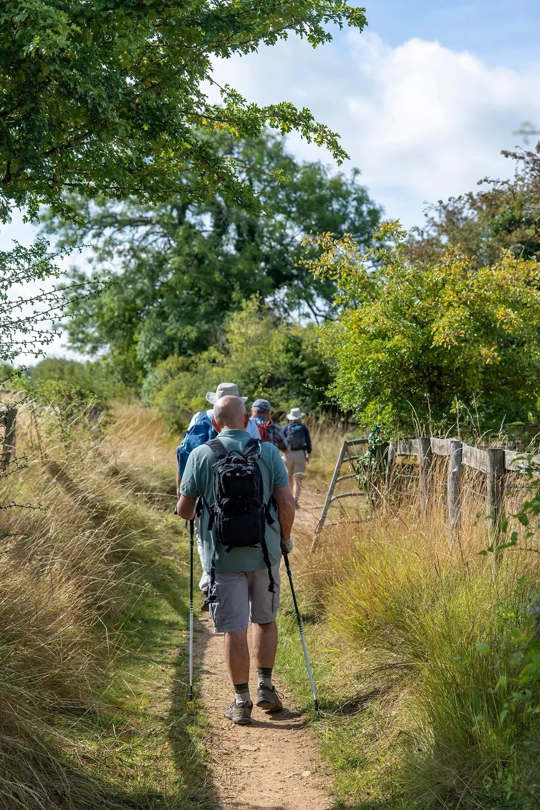 Group of people with walking sticks hiking on a trail