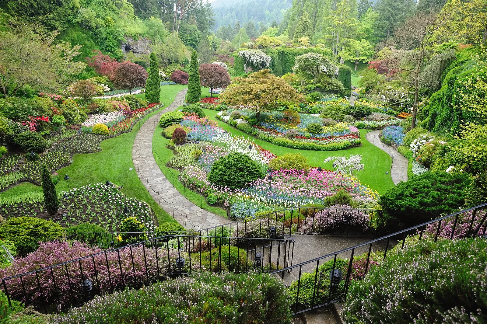 Outdoor garden full of flowers, trees and bushes