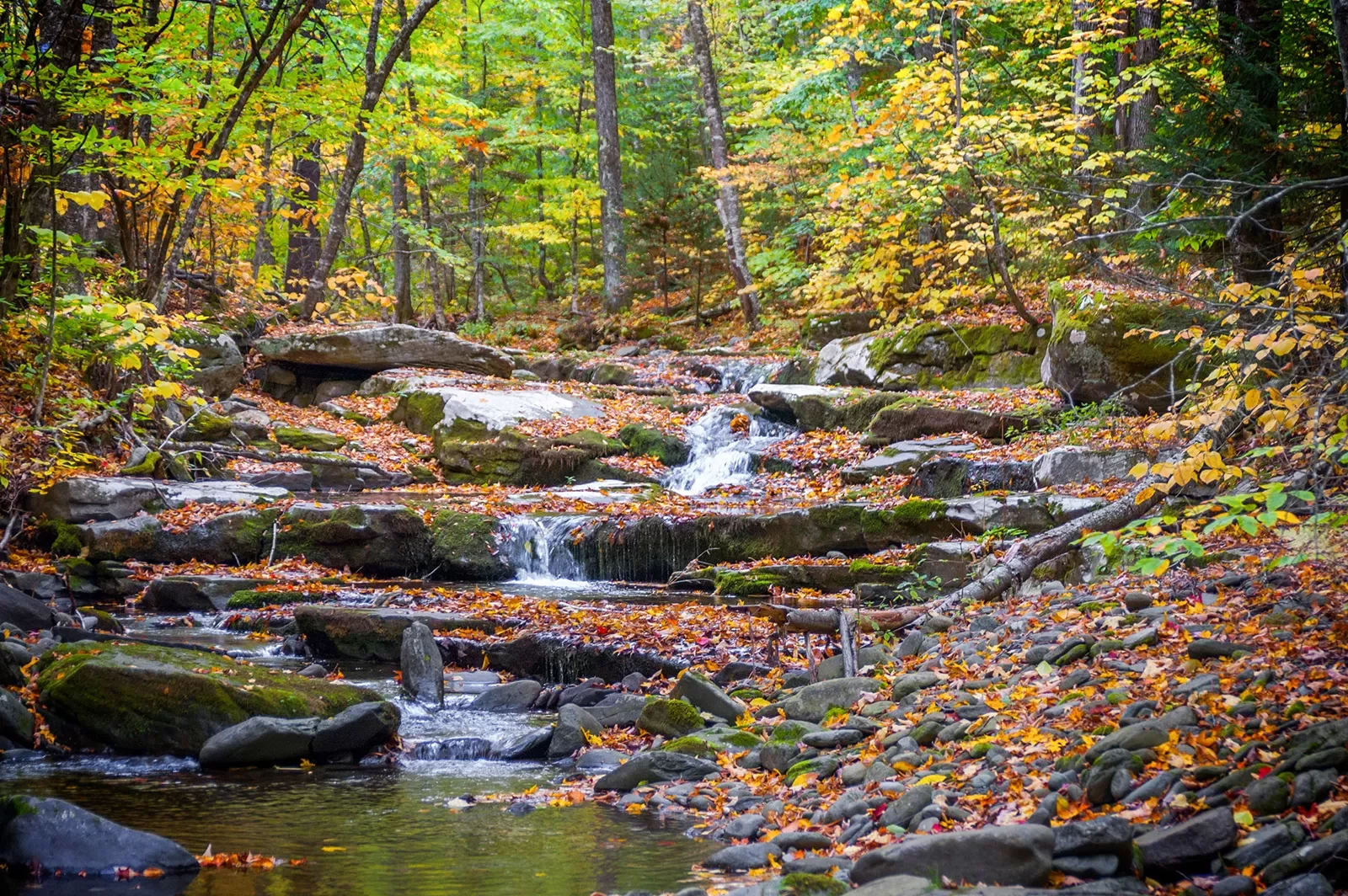 River with large rocks and leaves scattered