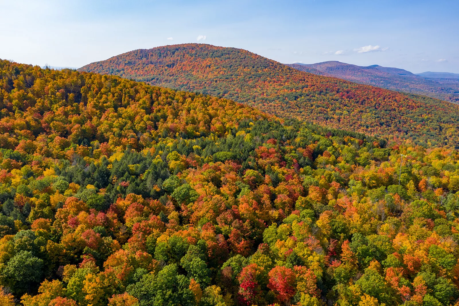 Valley of yellow, green and red trees