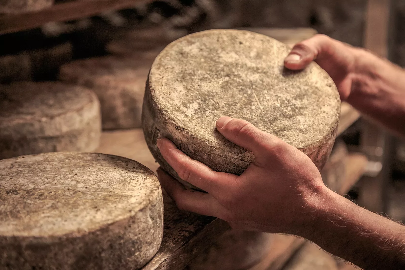 Two hands grabbing a wheel of cheese