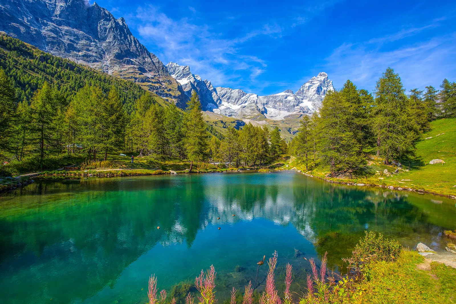 Large, blue lake surrounded by tall pine trees and mountains