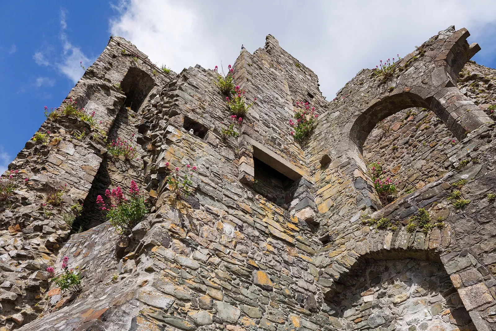 Bottom-top view of a stone building with plants and weeds coming out from the cracks