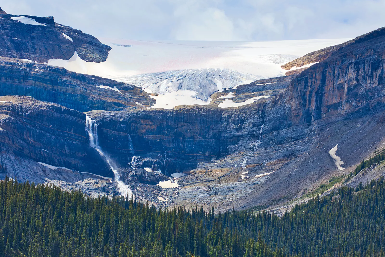 Snowcapped mountain in the distance with tall trees in the valley