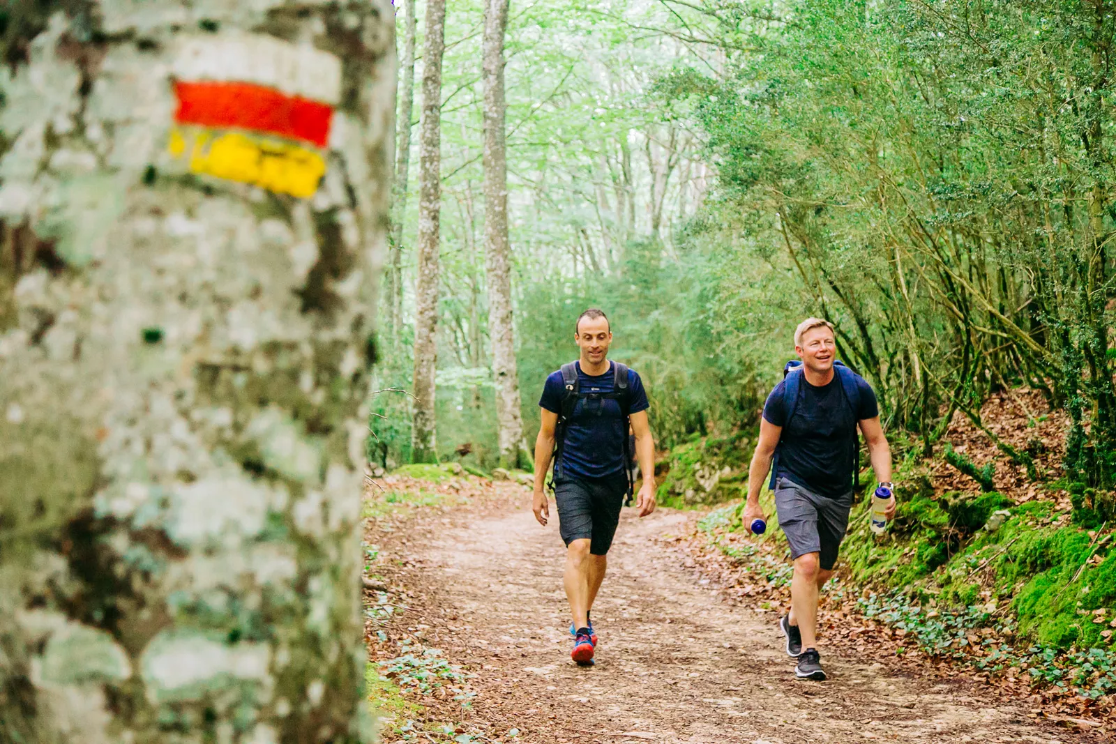 Two men hiking on a dirt trail, with a tree with a flag painted on it