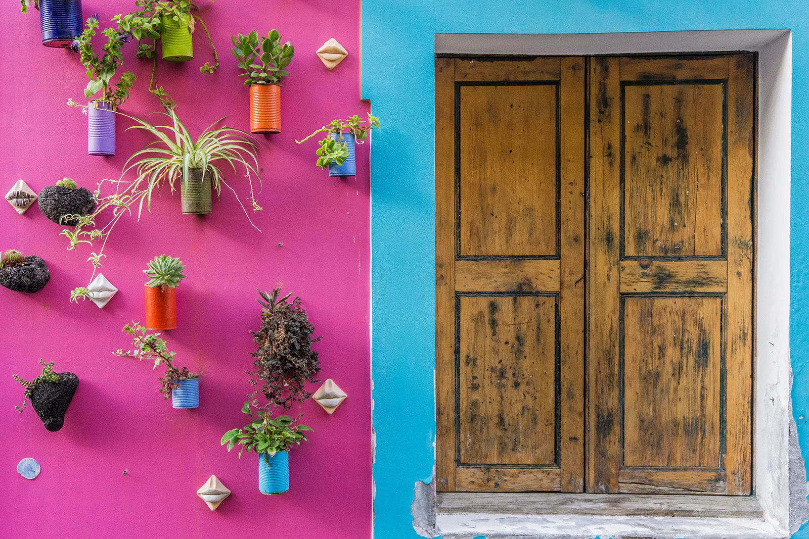 Pink and blue building with a wooden door on the right, and plants on the left