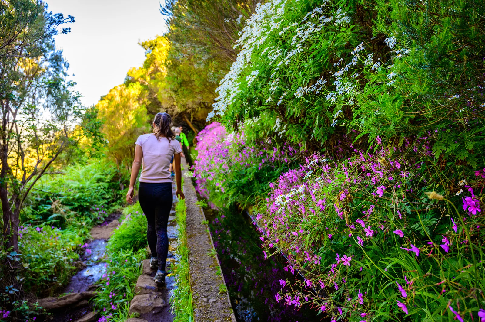 Woman walking on stones in a garden, surrounded by plants and flowers