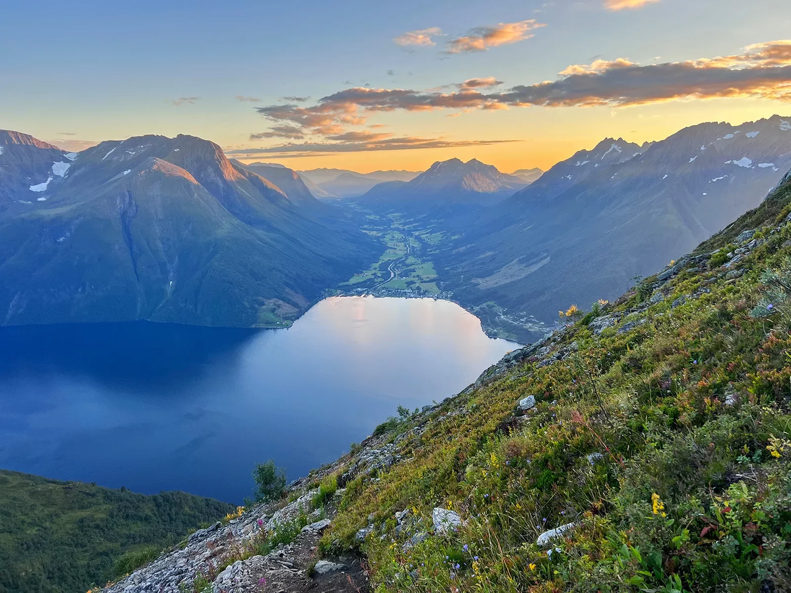 Flowers on a mountains side with a lake on the ground level