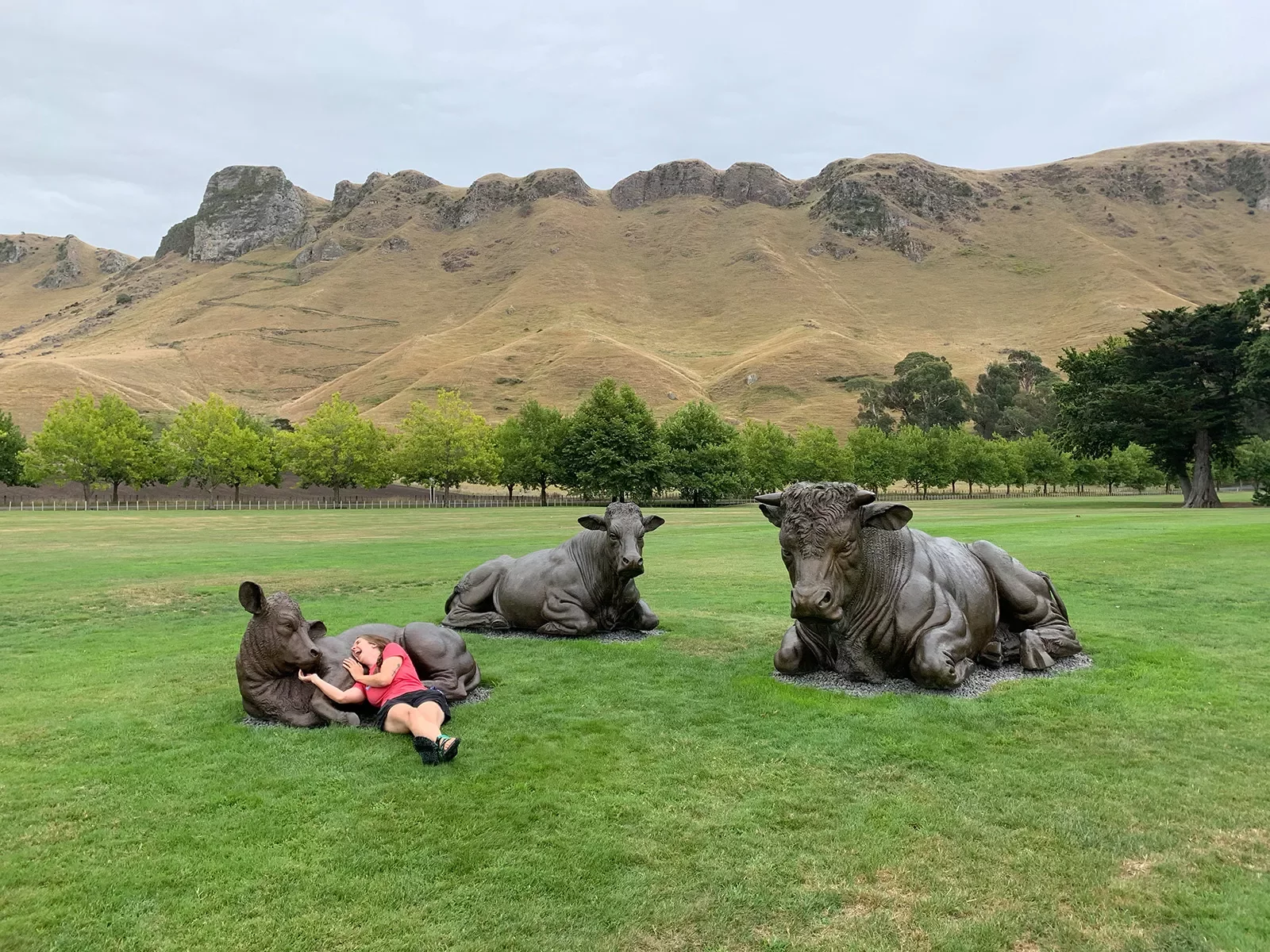 Woman laying down with statues of three cows