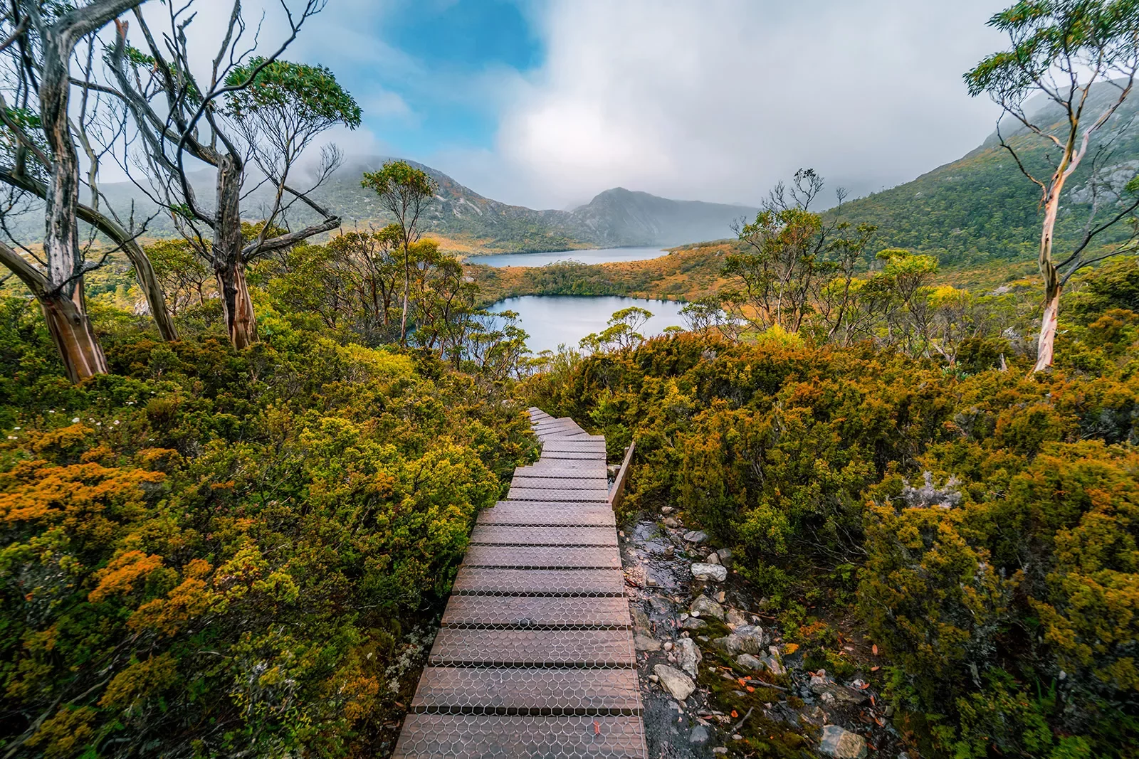 Wooden pathway leading to a lake