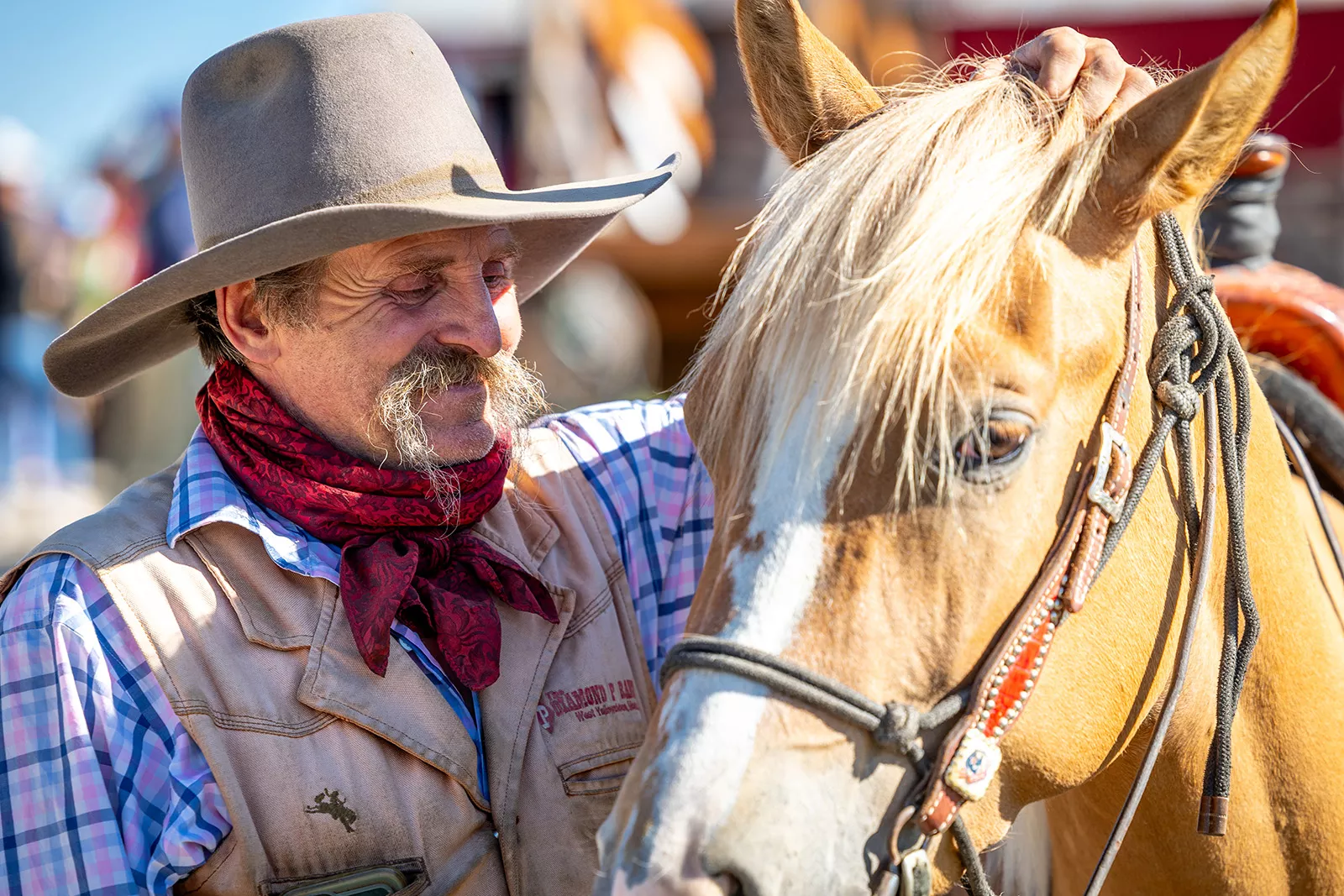 Man with a cowboy hat, while petting a horse