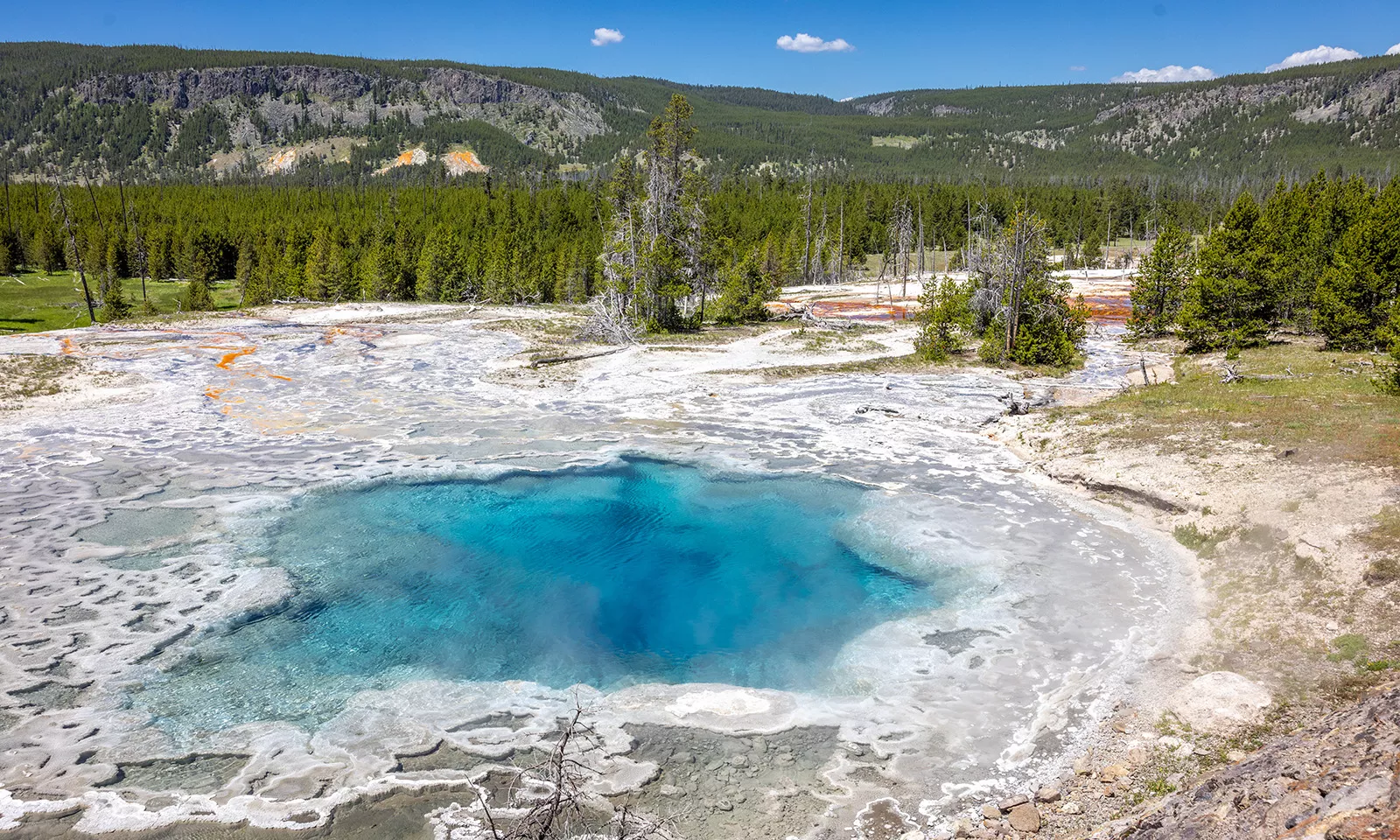 Salt-covered lake in the middle of a valley of trees