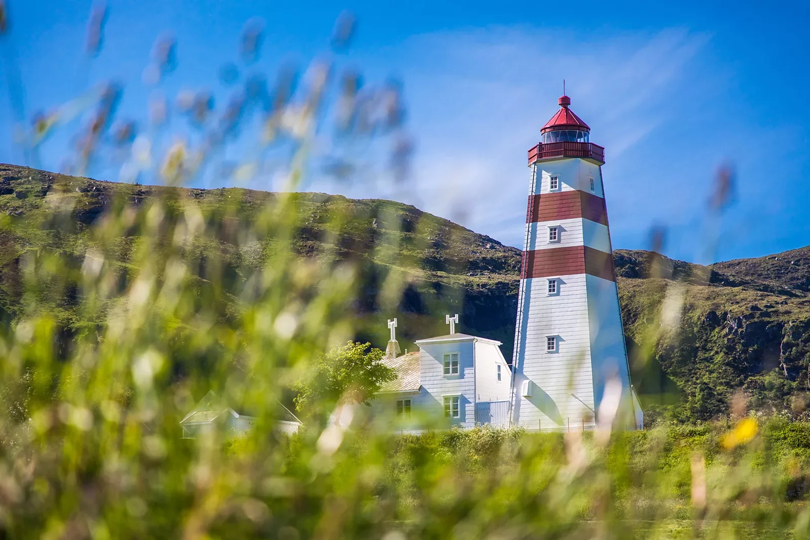 Red and white lighthouse surrounded by a grassy field