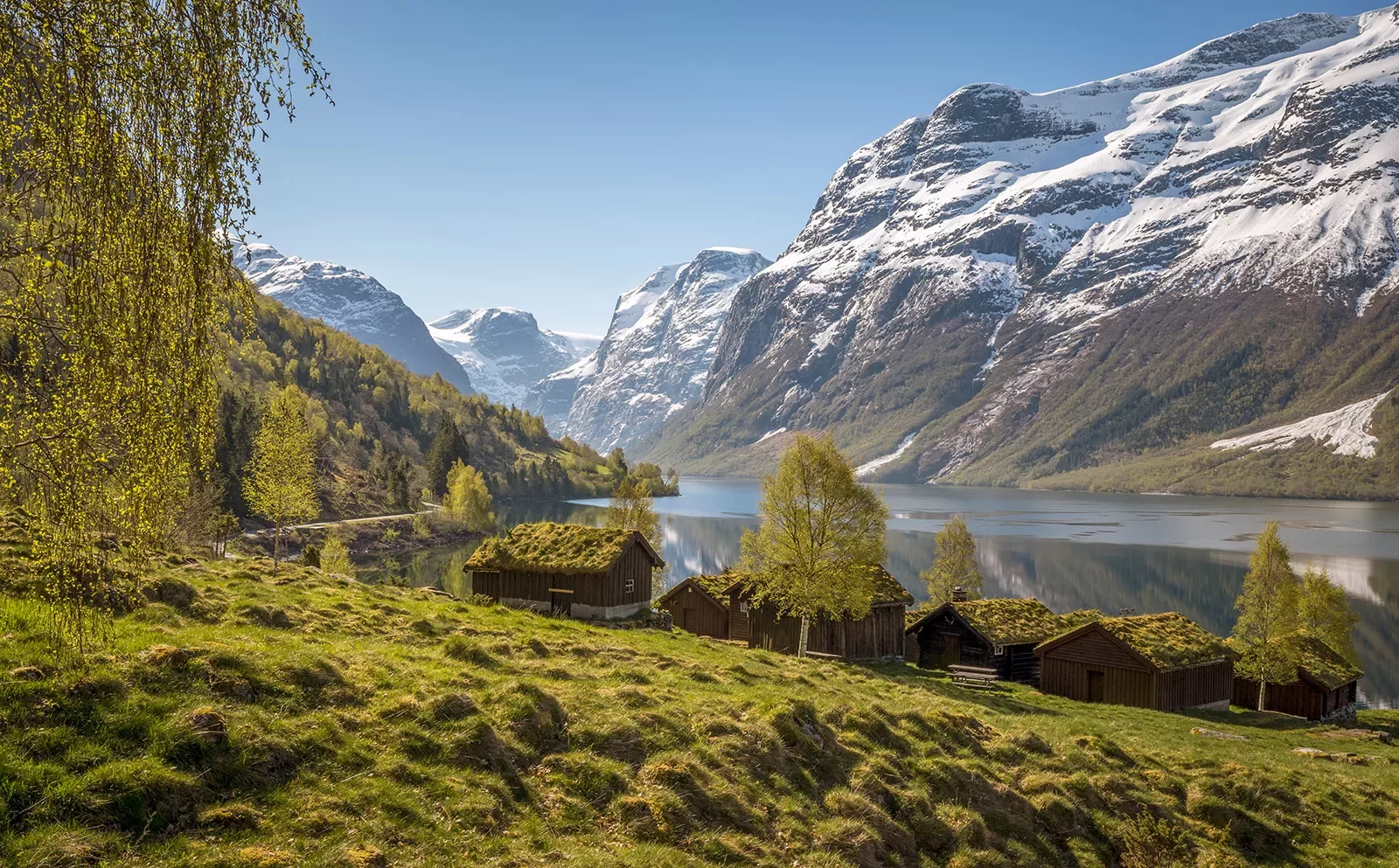 Wooden cabins covered in moss with mountains in the distance