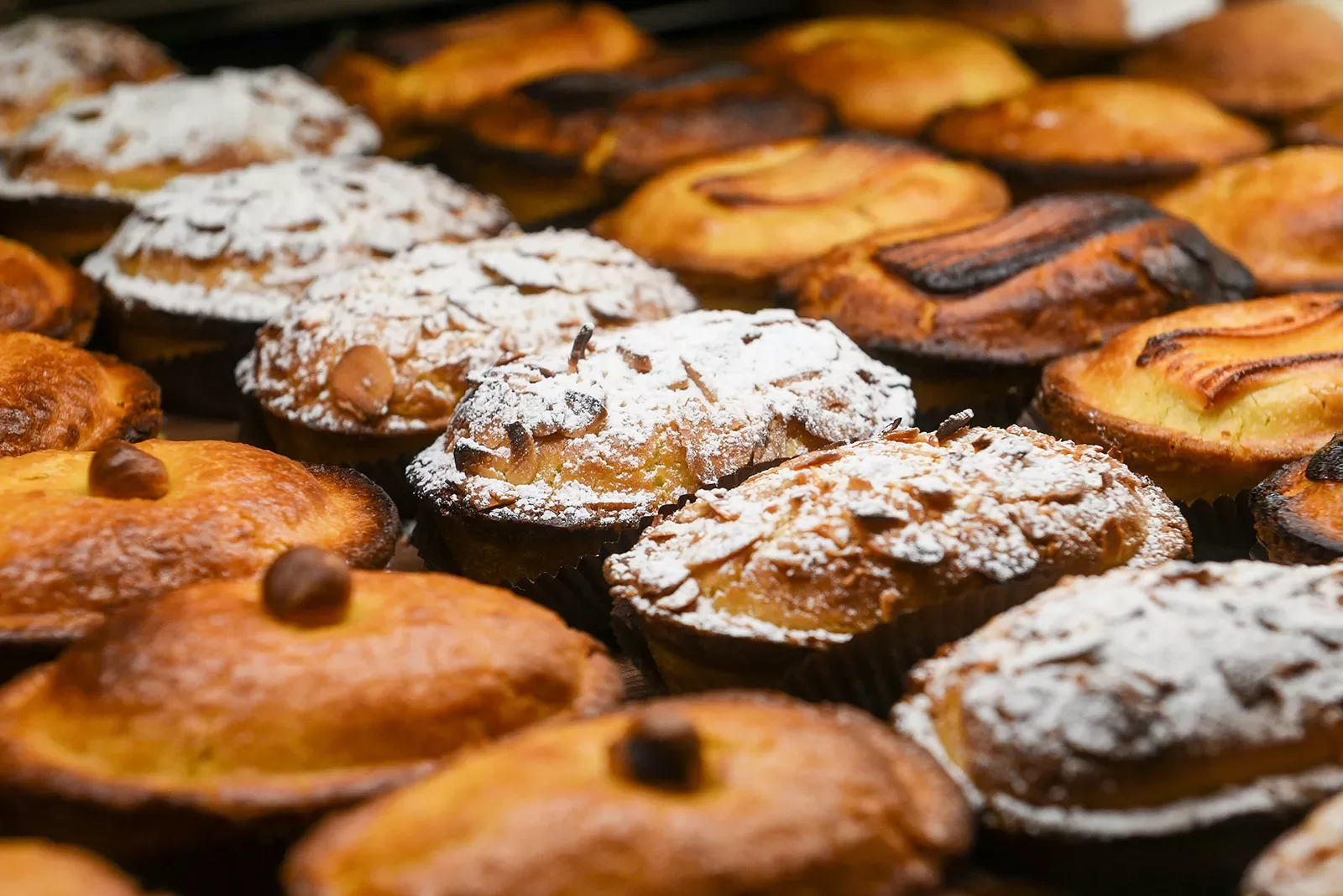 Pastries lined up covered with powdered sugar