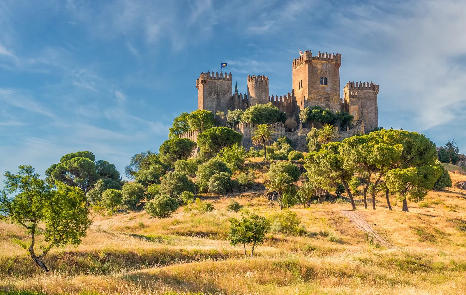 Castle-like buildings on a hill surrounded by large trees