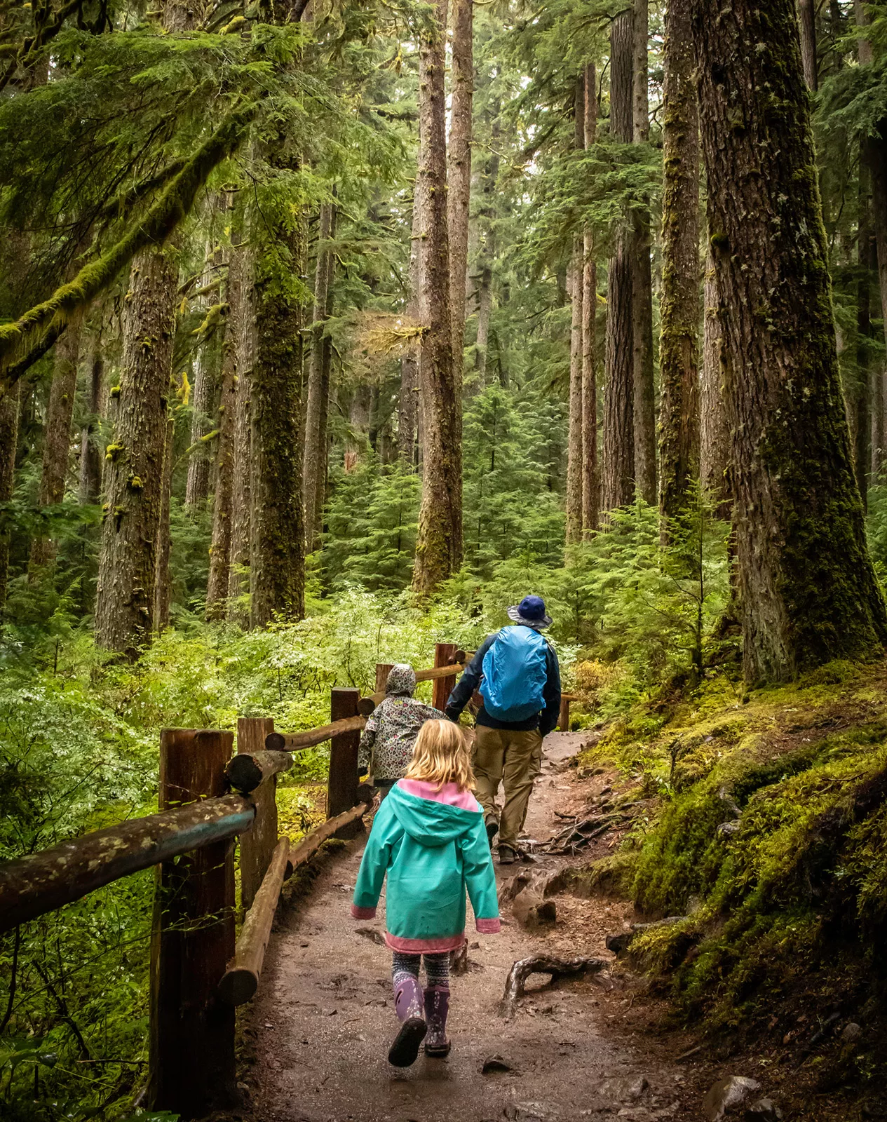 Man and two kids hiking in a forest with tall trees surrounding them