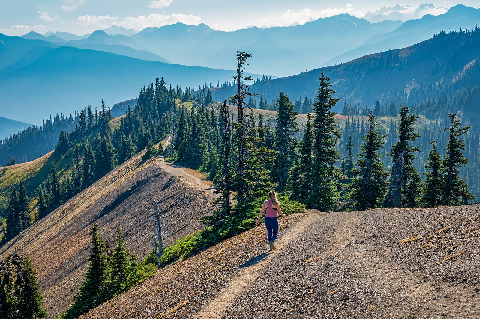 Woman walking on a dirt path on top of a hill, walking towards pine trees