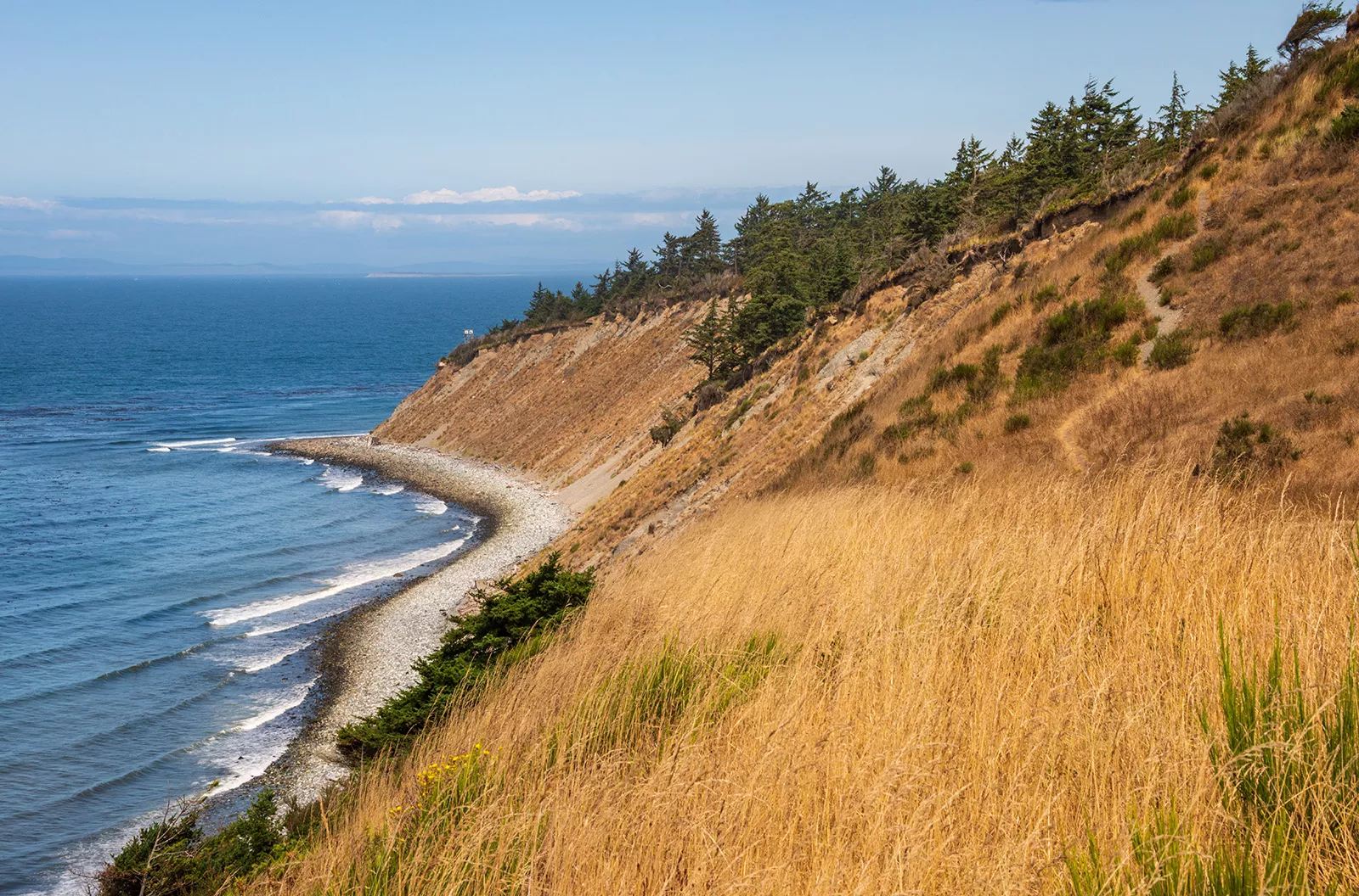 Hill next to a small coast by the ocean, covered in dried weeds