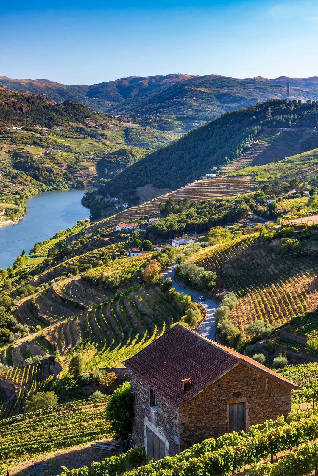 Sky view of an open valley of crop fields and trees, with a lake in the distance