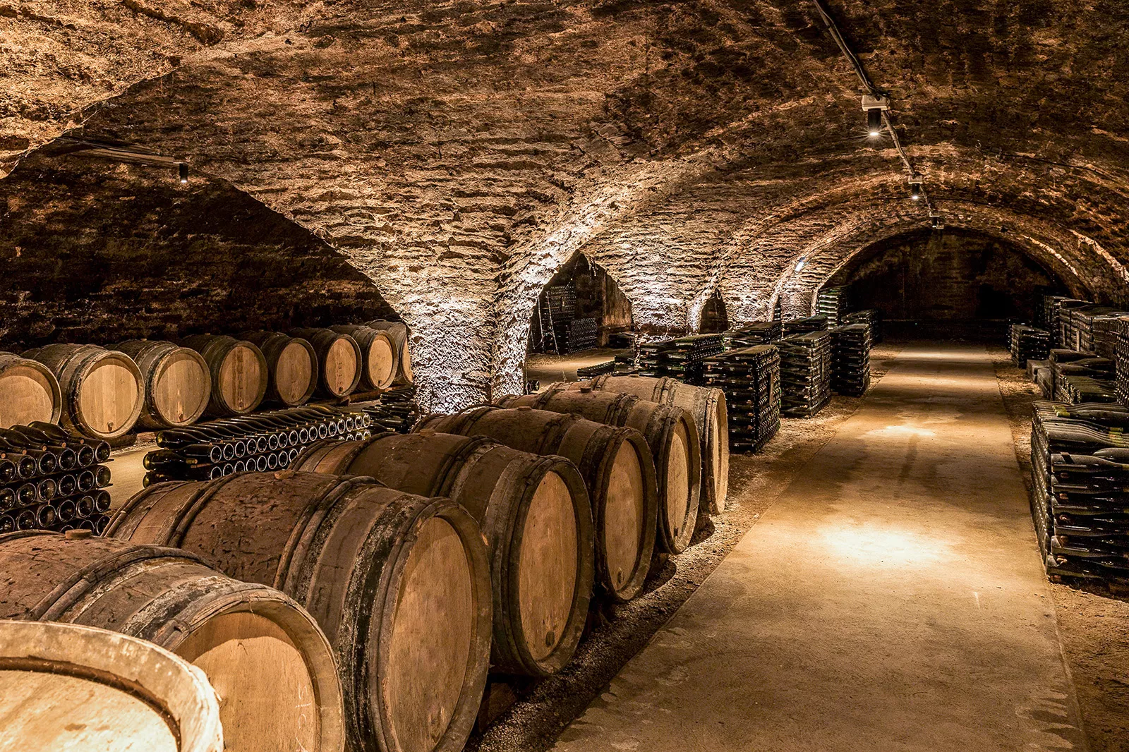 Underground cellar full of bottles and barrells