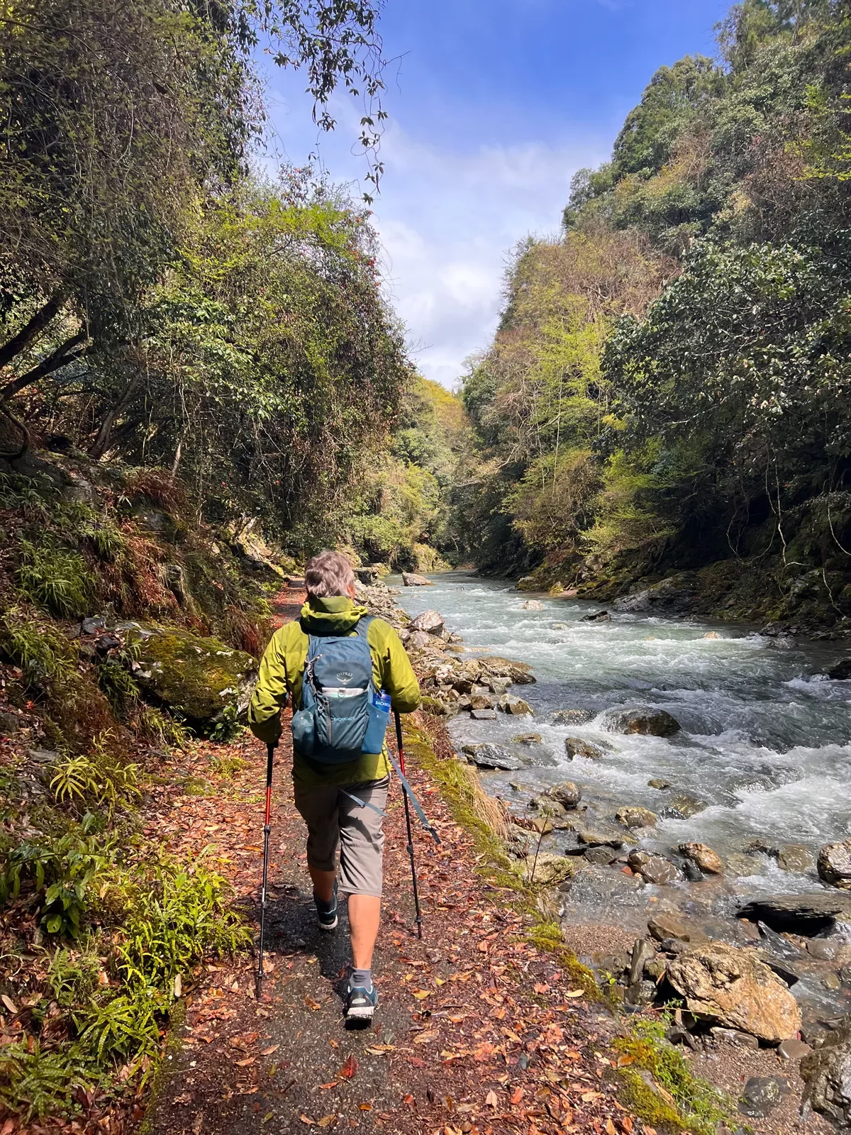 A hiker with poles walking by a river