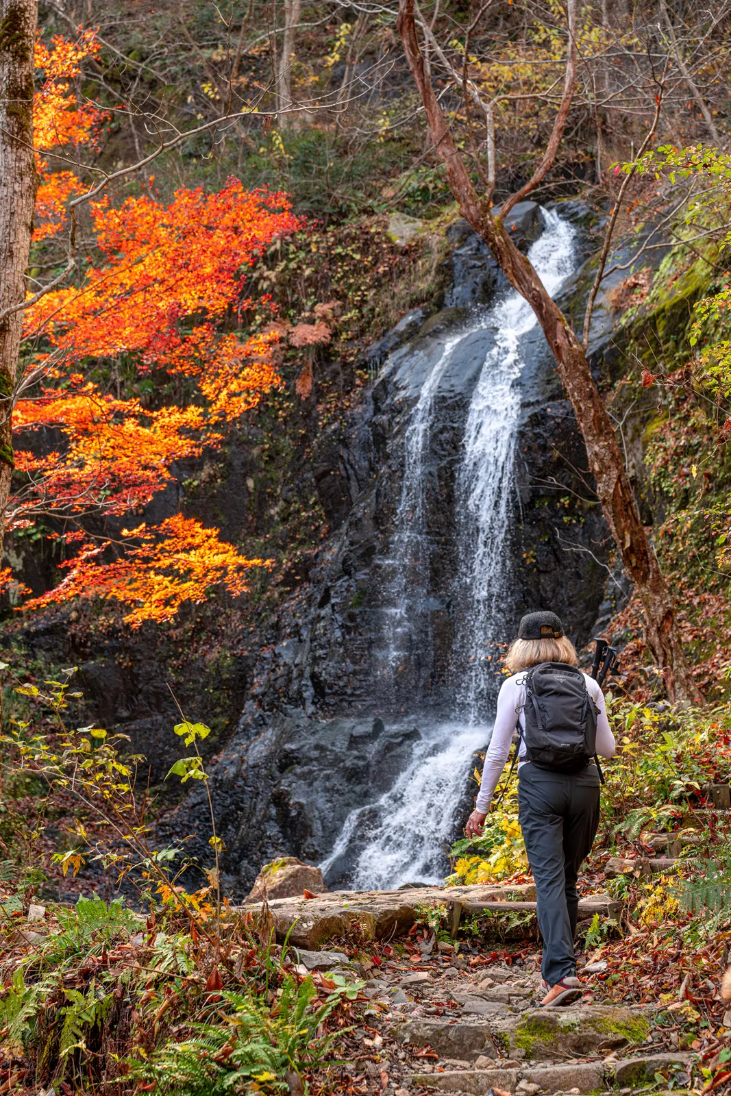 Woman hiking towards a small waterfall in the forest