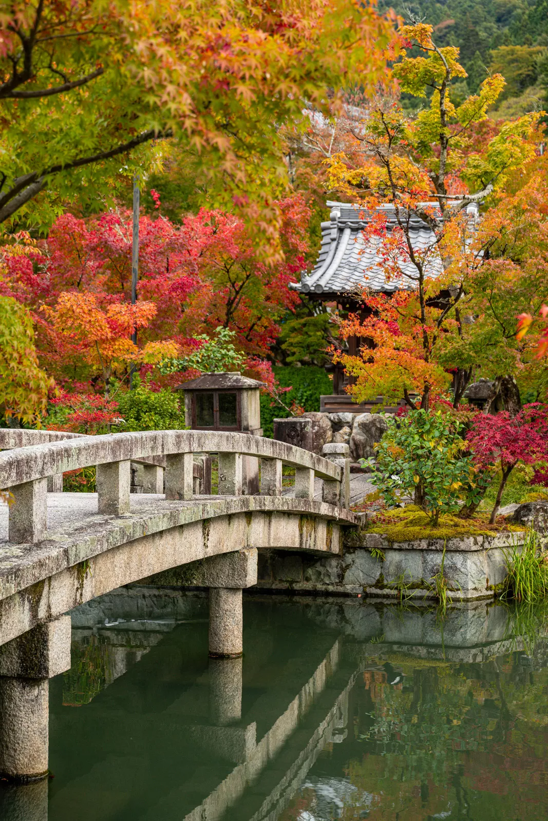 Concrete bridge leading towards a Japanese shrine