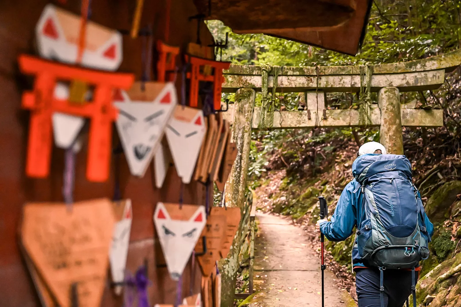 Hiker on a trail in japan
